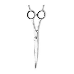 Front Page -Pet Sale Store at45780 01