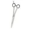 Artero Satin Curvy 6.5in Shears