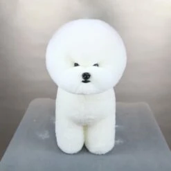 Artero Bichon Dog Model And Fur Kit -Pet Sale Store ay128 4