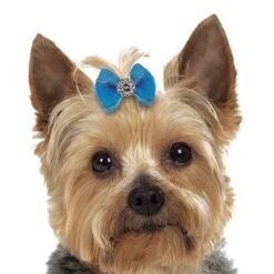 Aria Maddie Dog Bows Canister, 100 Pcc -Pet Sale Store dt056 99 003 1