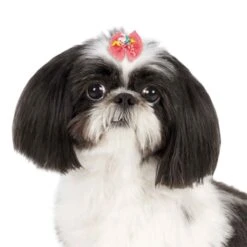 Aria Bonita Bows 100 Count 5 Aria Bonita Bows 100 Count -Pet Sale Store dt1020 99 003