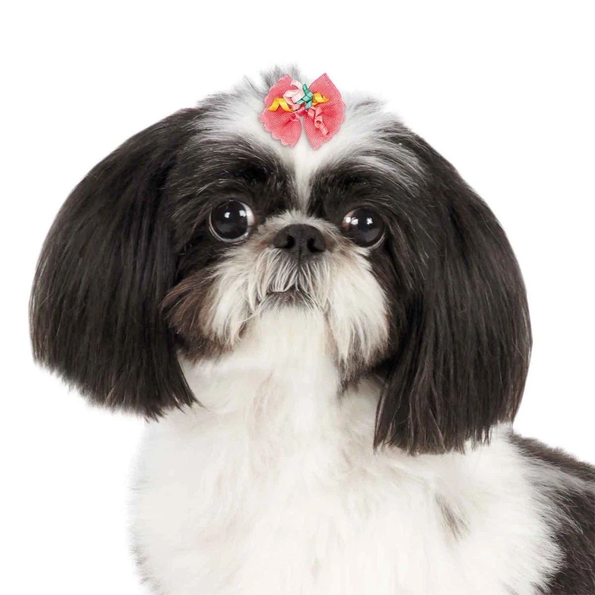 Aria Bonita Bows 100 Count 3 Aria Bonita Bows 100 Count - Image 3