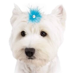 Aria Sparkle Feather Bows 100-Piece Canisters 13 Aria Sparkle Feather Bows 100-Piece Canisters -Pet Sale Store dt1058 99 007