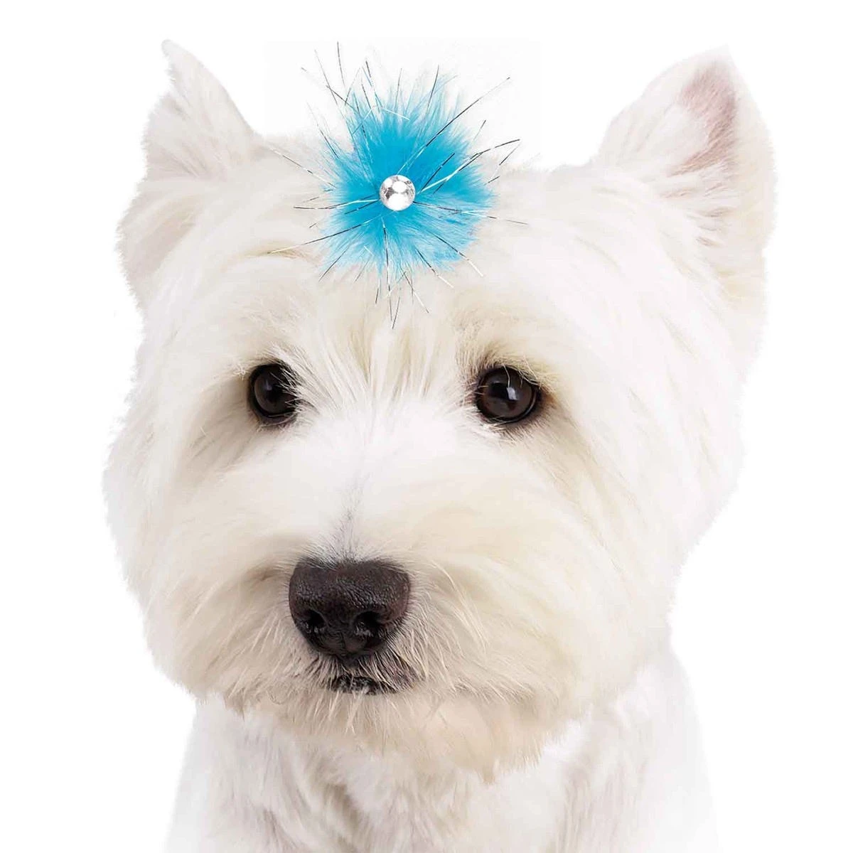 Aria Sparkle Feather Bows 100-Piece Canisters 7 Aria Sparkle Feather Bows 100-Piece Canisters - Image 7