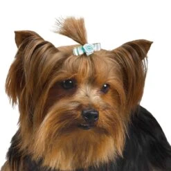 Aria Tiny Bows With Rosettes Canister 100Pc -Pet Sale Store dt159 99 005