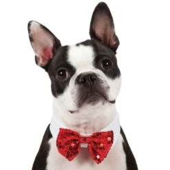 Aria Red And Black Bowtie Clip Strips 12-Piece -Pet Sale Store dt5210 12 1