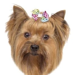 Aria Zoey Bows Canister, 48 Pc -Pet Sale Store dt5642 48 003