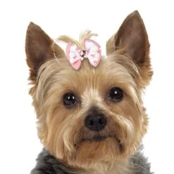 Aria Molly Bows Canister 45 Pc 5 Aria Molly Bows Canister 45 Pc -Pet Sale Store dt5645 45 003