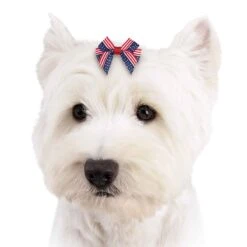 Aria Americana Pup Bow Canister 48 Pieces 6 Aria Americana Pup Bow Canister 48 Pieces -Pet Sale Store dt6241 48 003