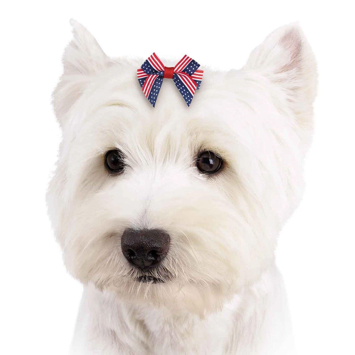 Aria Americana Pup Bow Canister 48 Pieces 3 Aria Americana Pup Bow Canister 48 Pieces - Image 3