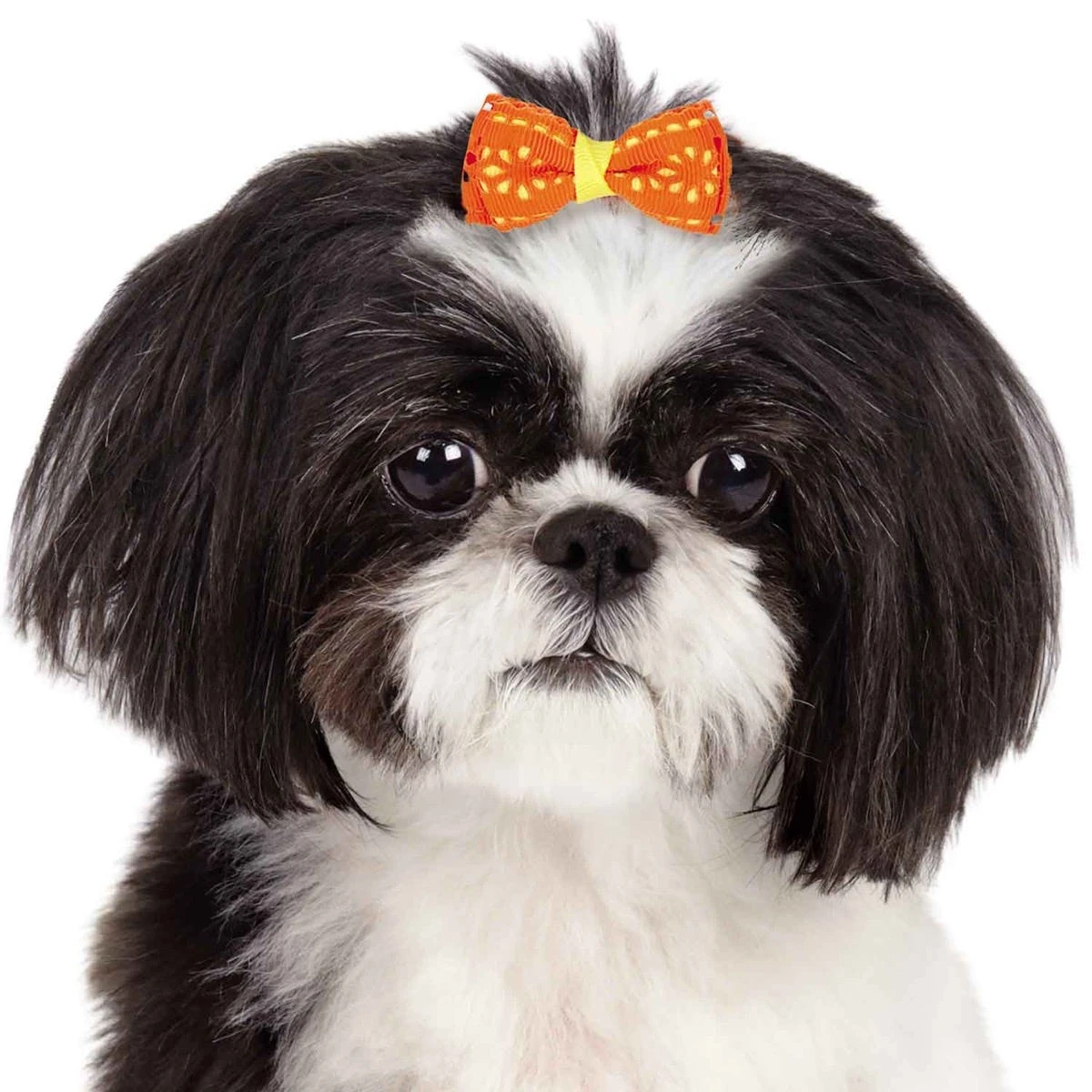 Aria Sunshine Bow Canisters 40 Pcs 3 Aria Sunshine Bow Canisters 40 Pcs - Image 3