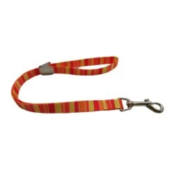 Alligator Grooming Loop 16 Alligator Grooming Loop -Pet Sale Store glal cs 17 00