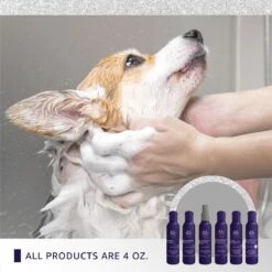 Hydra Experience Sample Set10:1 -Pet Sale Store hsample 05