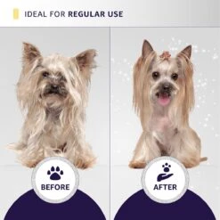 Hydra Experience Sample Set10:1 -Pet Sale Store hsample 08