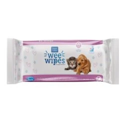 Fresh 'n Clean Wee Wipes