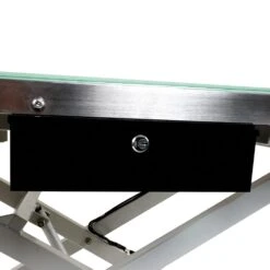 Master Equipment Radiance LED Electric Grooming Table -Pet Sale Store tp0829 47 87 04 1