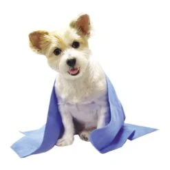 Top Performance Drying And Cooling Towel -Pet Sale Store tp2086 19 dogsitting 1