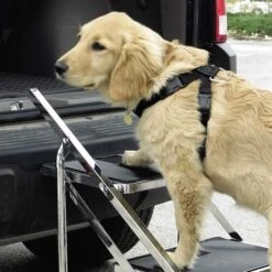 Master Equipment Pet Stairs For Grooming Tables And SUVs -Pet Sale Store tp38403 3