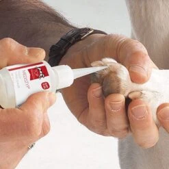 Top Performance MediStyp Liquid Super Sealer 7 Top Performance MediStyp Liquid Super Sealer -Pet Sale Store tp45498 0 1