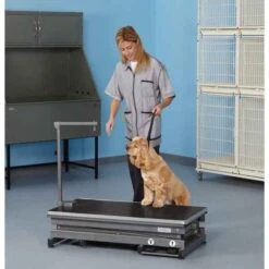 Master Equipment X-Tend Electric Grooming Table -Pet Sale Store tp7144 4