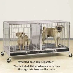 ProSelect Modular Cage W/Plastic Tray Stainless Steel -Pet Sale Store zw5500 87 3