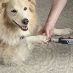 Dremel Cordless Variable Speed Nail Grinder Kit -Pet Sale Store zw7760 36b