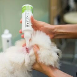 Hyponic Hinoki Cypress Ear Cleaner 16.9 Oz -Pet Sale Store zx0500 16 rco06669cr